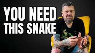 Keeping House Snakes as Pets!