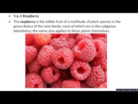 Top 10 Most Delicious Fruits