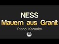 NESS - Mauern aus Granit (Karaoke)