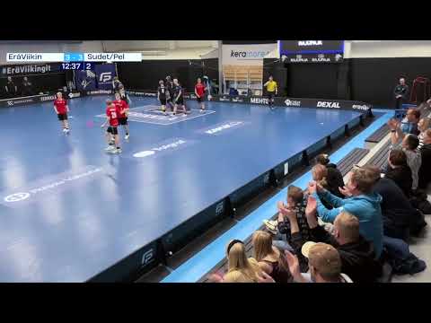 P17: EräViikingit - Sudet/Pelicans 9.11.2025 maalikooste