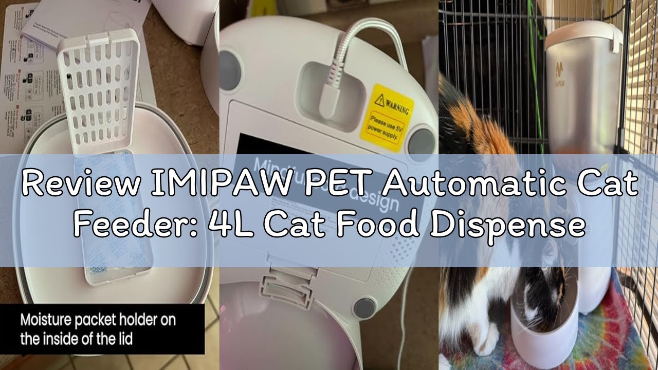 Review IMIPAW PET Automatic Cat Feeder: 4L Cat Food Dispenser Timed Precise Auto Feeder Programmable