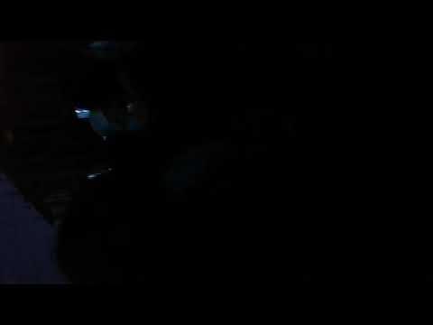 Pixel MusicFest - La Paz, Bolivia(dia 1 con BACONDO)