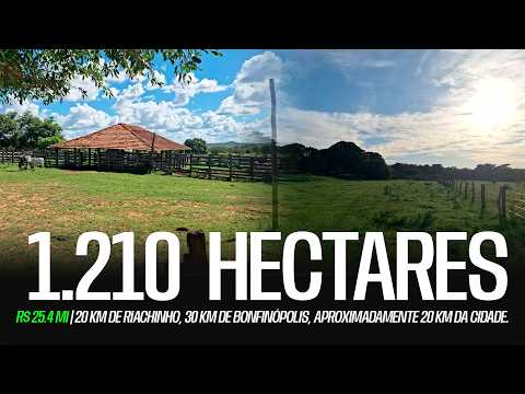 FAZENDA PRODUTIVA À VENDA – 1.210 HA – A 20 KM DE RIACHINHO-MG. R$ 25.4 mi