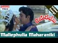 Mallephulla Maharaniki Amara Jeevi Telugu Movie Video Song Akkineni Nageswara Rao Jaya Prada