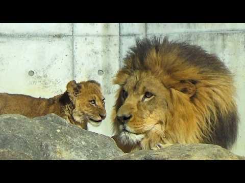 Dad Earth looks so sad & lonely as daughter Vega leaves. 😭