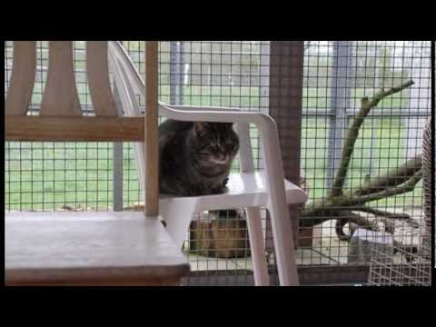 120824 Video TSV SR Aktuell