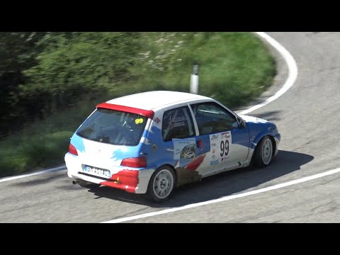 OBC 35°Rally Città di Torino 2020 JUNOD-CHABLOZ by Ferrario
