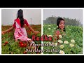 Radha Extended Version|Dance Cover|ASUR|Jeet|Abir|Nusrat|Pavel|Bickram Ghosh|Imon|Shovan|