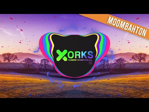 DJ ANI x Badchargie - Mi Bun Dem