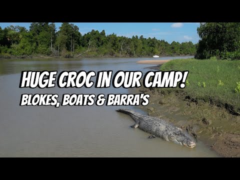 Huge Croc in our camp!