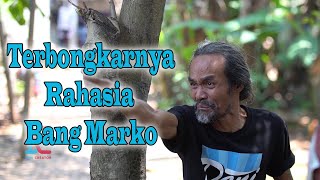 Download lagu Bang Marko's Secret Revealed mp3