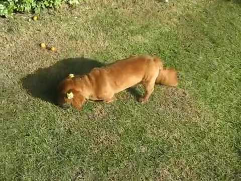 夏大好き（熟女編）