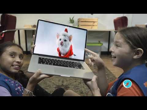 High Top Princess - Meow or Never