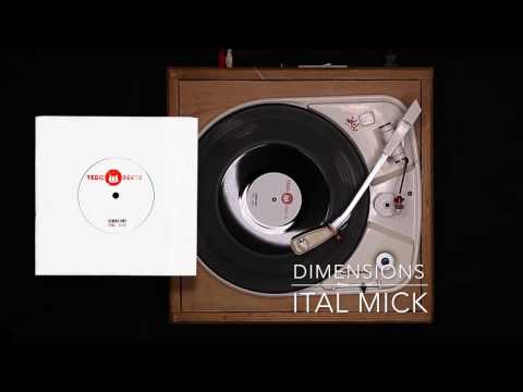Ital Mick - Dimensions/Dub Vedic Roots 7"