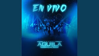 Popurrí Laberinto (Live)