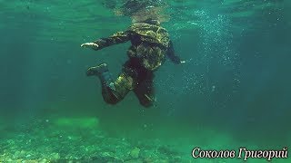 Ссылка