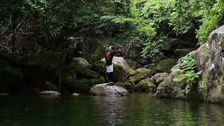 石垣島ドリーム観光