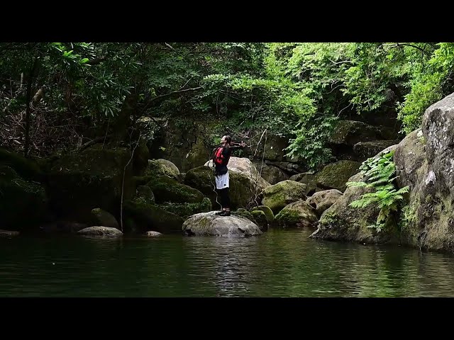 石垣島ドリーム観光