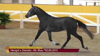 Video of Dumoulin Z