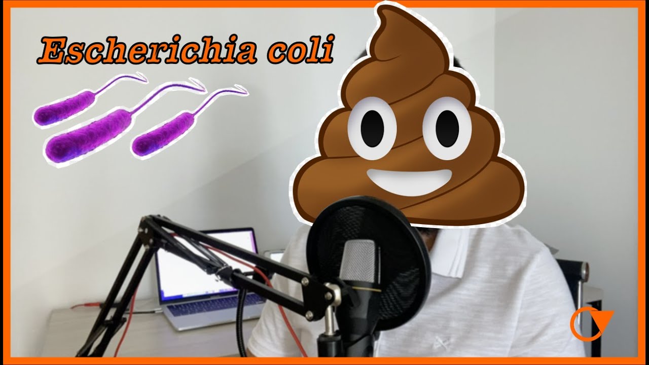 Escherichia coli, vilã ou não?