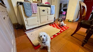 The Easiest 3 Tasks That Make Your Home Instantly Cleaner! Cleaning Motivation #cleaningmotivation