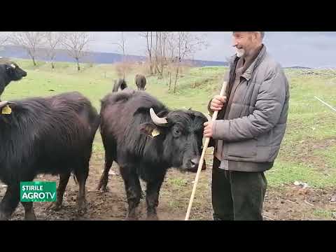 Weekly Review 14 09 2025 P1