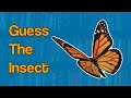 Guess The Insect Kids Storytime Read Aloud