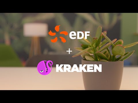EDF - Customer Success Story (Philippe Commaret - Managing Director of Energy Customers)