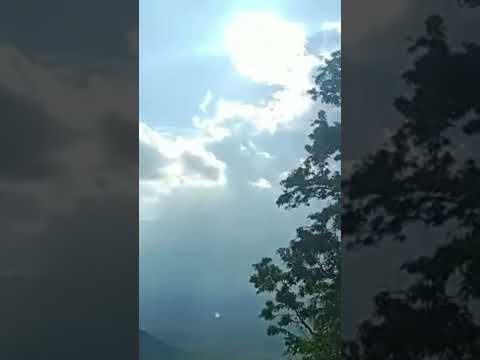 nature #youtubeshorts #sushree #shorts