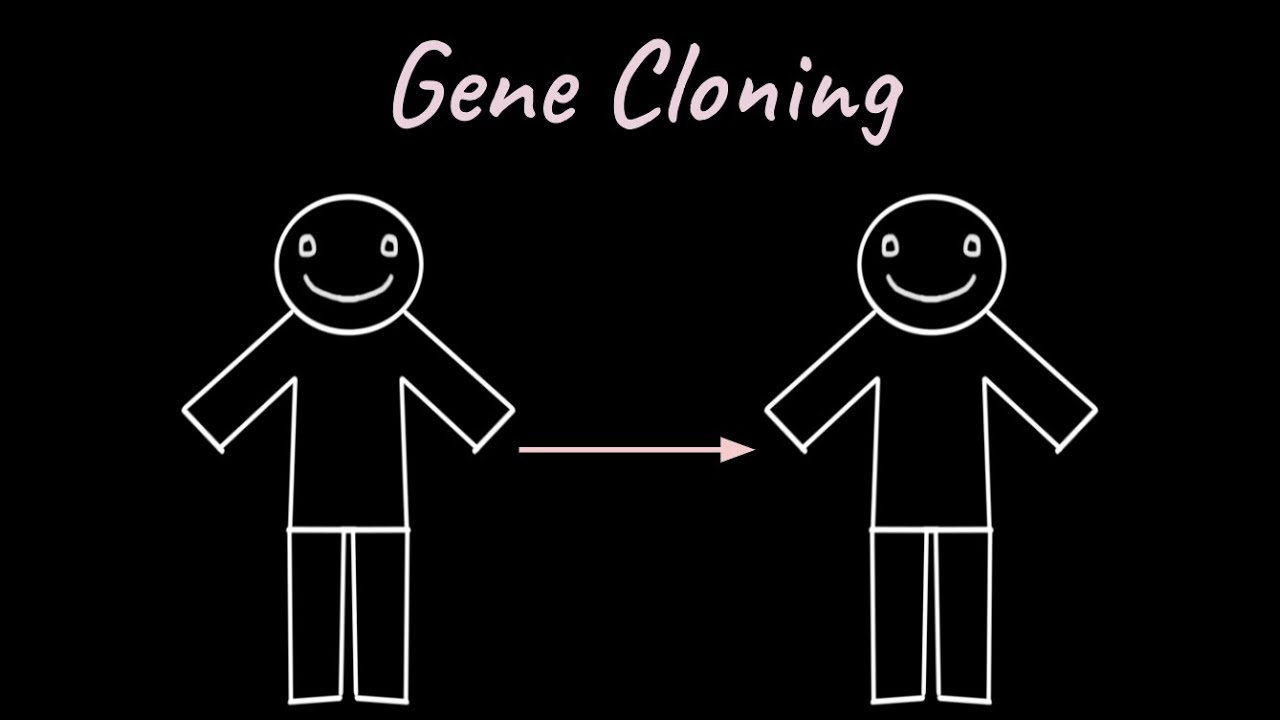 Gene Cloning | Biotechnology Principles and Processes | Class XII | Biology | Khan Academy