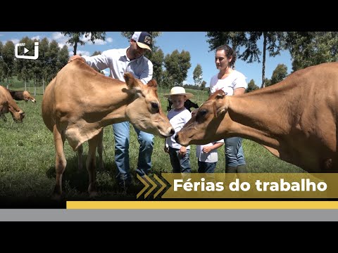 Casal que produz leite em Xanxerê-SC usa sistema australiano que permite tirar férias