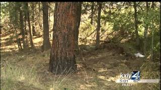 Two teens killed in Spokane Valley car crash