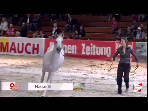 Wels 2015 - Class 14