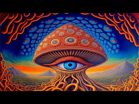 10 Gram Mushroom Trip Report: 'The Search for Meaning Beyond Death'