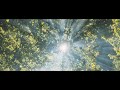 Nell - Beautiful Jeopardy (Lyric Video)