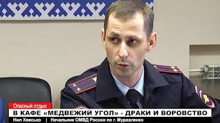 В кафе «Медвежий угол» - драки и воровство