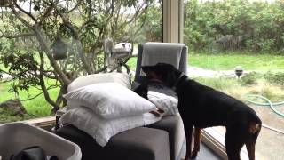 Morning bitch session