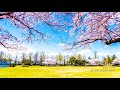 NEW SONG 인내를 주소서 Father Let Me Endure World Mission Society Church Of God 하나님의 �
