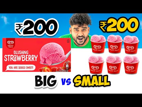 ₹160 Big Ice Cream  vs  ₹10 × 16 Small ice Creams || किसमे ज़्यादा आइस क्रीम, कोंन जीतेगा ??