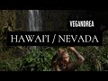 VEGANDREA X Hawai’i / Nevada