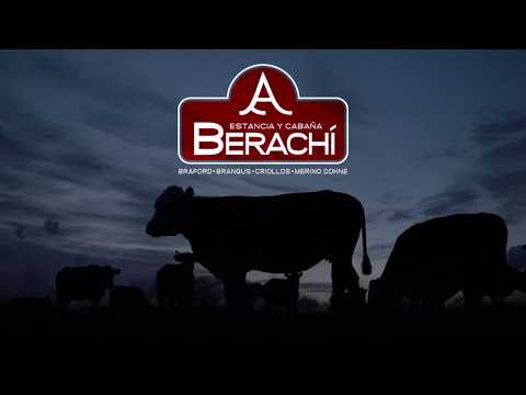 Video institucional de Estancia y Cabana BERACHI (Cerro Largo, Uruguay)