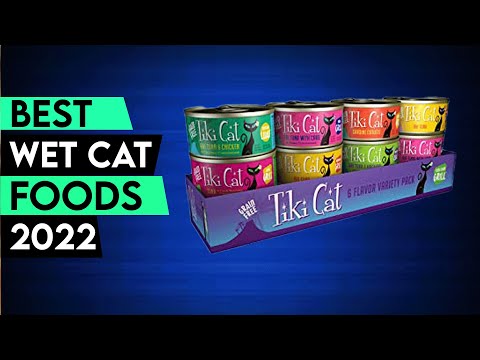 3  Best Wet Cat Foods 2022🔥🔥🔥