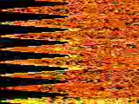 where is the idsn???