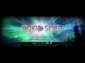 Indigo Spirit- Tripping On The Beach