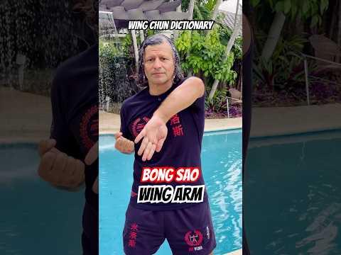 Wing Chun Dictionary | Bong Sao (Wing Arm)