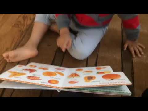 Sriman Reading Fruits & Veg Name