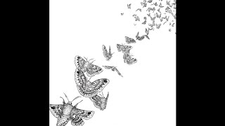 Des Ark - Everything Dies (2015 // Full Album)