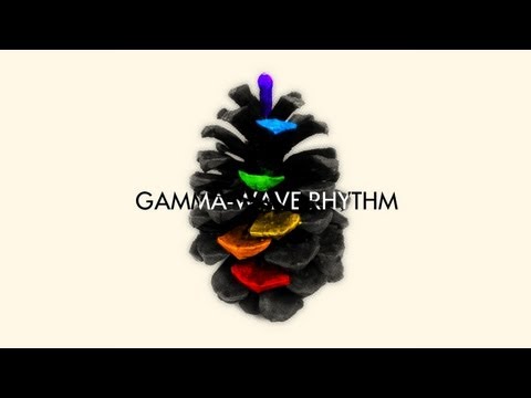 5th PROJEKT - Gamma-Wave Rhythm (Full EP Visualizer)