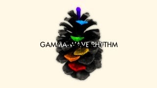 5th PROJEKT - Gamma-Wave Rhythm (Full EP Visualizer)