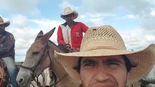 Roy está indo embora para São Paulo trabalhar novamente no Campeonato da Ekip Rozeta Roy está indo embora para São Paulo trabalhar novamente no Campeonato da Ekip Rozeta